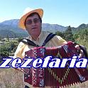 Acordeonista ZezeFaria